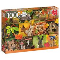 Premium Collection Dieren in de herfst 1000 stukjes - thumbnail