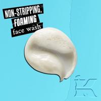 Kiehls - Kiehl&apos;s Ultra Facial Oil Free Cleanser 150ml Make-up verwijderaar en reiniger Dames - thumbnail