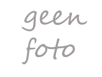 Lowa Innox Evo 4daagse GTX Wandelschoen Lowa Innox Evo 4daagse GTX Wandelschoen