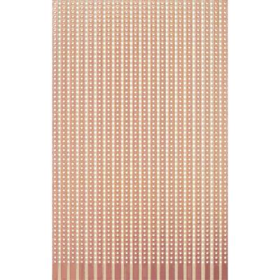 Rademacher WR-Typ 721 Experimenteer printplaat Hardpapier (l x b) 160 mm x 100 mm 35 µm Rastermaat 5.08 mm Inhoud 1 stuk(s)