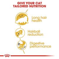 Royal Canin Persian droogvoer voor kat 4 kg Volwassen Maïs, Gevogelte - thumbnail