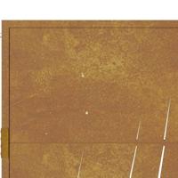 Poort grasontwerp 105x155 cm cortenstaal - thumbnail