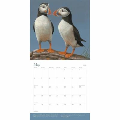 British Wildlife Kalender 2026 British Wildlife Kalender 2026