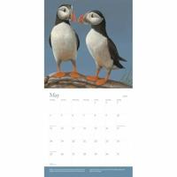 British Wildlife Kalender 2026 - thumbnail