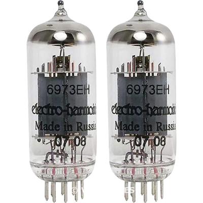 Electro Harmonix 6973 Platinum Matched eindversterkerbuizen (set van 2)
