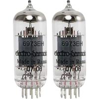 Electro Harmonix 6973 Platinum Matched eindversterkerbuizen (set van 2) - thumbnail
