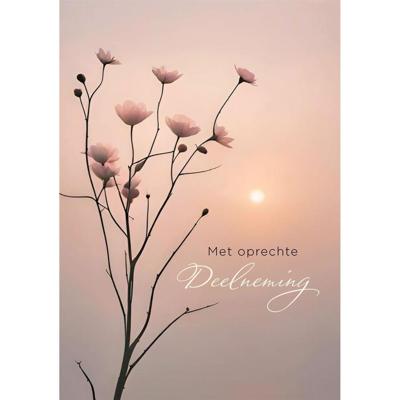 Wenskaart hallmark condoleance bloemen 6 stuks