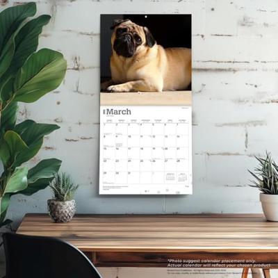 Mopshond Kalender 2026 Mopshond Kalender 2026