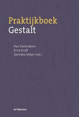 Praktijkboek Gestalt (Paperback)