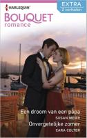 Een droom van een papa ; onvergetelijke zomer - Susan Meier, Cara Colter - ebook - thumbnail
