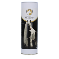 VL Poeder Paard - thumbnail