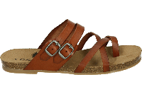 Cosmos 6106801 - alle - thumbnail