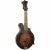 Gold Tone F-6 elektrische mando-guitar, met koffer - thumbnail