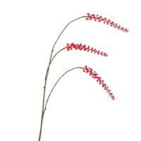 Daan Kromhout Kunsttak berry cluster rood 94 cm | 6 stuks - thumbnail