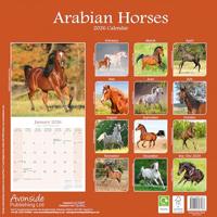 Arabier Kalender 2026 - thumbnail