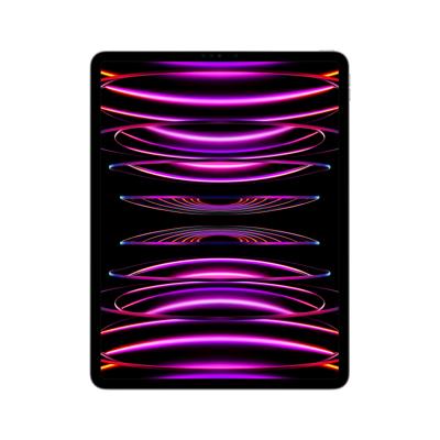 iPad Pro 12.9 inch 2022 512 GB
