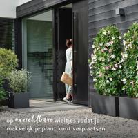 Elho Vivo Next vierkant plantenbak met wielen 40 cm living black - thumbnail