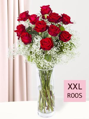 15 rode rozen met gipskruid (XXL rozen)