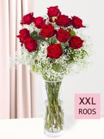 15 rode rozen met gipskruid (XXL rozen) - thumbnail