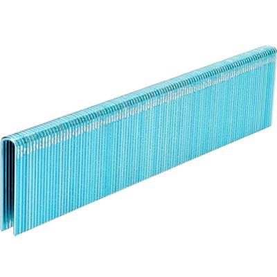 Bosch Accessories 2608200703 Nieten met smalle rug 5000 stuk(s) Afm. (l x b) 30 mm x 5.8 mm Bosch Accessories 2608200703 Nieten met smalle rug 5000 stuk(s) Afm. (l x b) 30 mm x 5.8 mm