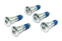 TRW bouten set screw set 5pcs. m8x1,25 - thumbnail