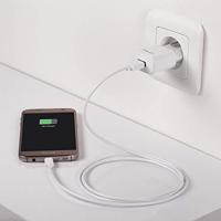 PNY Wall Charger 12W with Micro-USB cable - thumbnail