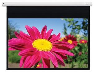 Optoma DE-1095EGA 95 inch gemotoriseerd projectiescherm