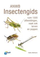 ANWB Insectengids (Paperback) - thumbnail