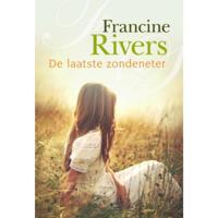 De laatste zondeneter (Paperback) - thumbnail