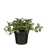 Kunstplant mica tradescantia in pot groen - thumbnail