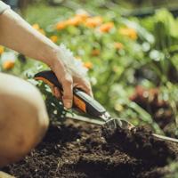 Fiskars 1066048 - xact plantschep | 1 stuks - thumbnail