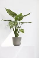 Ecopots Oslo Mini Taupe Ø16cm x H13,7 cm - thumbnail