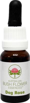 Australian Bush Dog rose 15 Milliliter