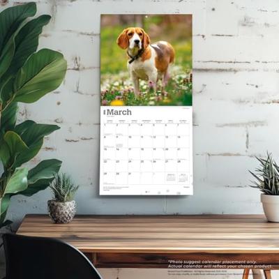 Beagle Kalender 2026 Beagle Kalender 2026