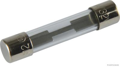 HERTH+BUSS glazen zekering glass safety. 30a 6,3x32m herth & buss