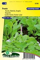 Rucola zaden raketkruid Pronto - thumbnail
