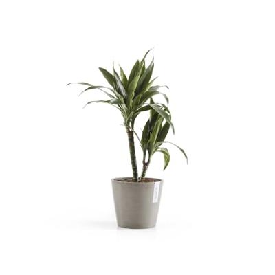 Ecopots Amsterdam kunststof bloempot Taupe - Ø 18 cm Ecopots Amsterdam kunststof bloempot Taupe - Ø 18 cm