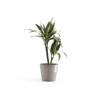 Ecopots Amsterdam kunststof bloempot Taupe - Ø 18 cm - thumbnail