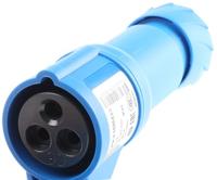 Schneider Electric PKY16M423 PKY16M423 CEE-koppeling 16 A 250 V 1 stuk(s) - thumbnail