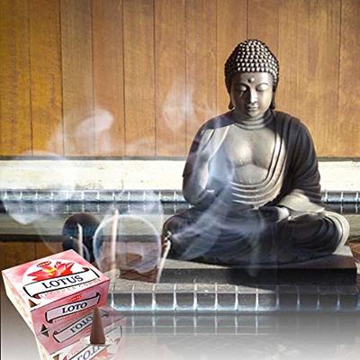 HEM Wierook Kegels Lotus (1 doosje)