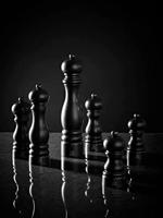 PEUGEOT - Paris - Zoutmolen 27cm Graphite U-Select - thumbnail