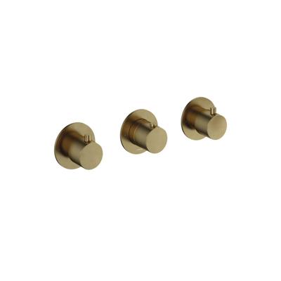 Hotbath Cobber - Afbouwdeel voor Inbouw Douchethermostaat - 2 Stopkranen - Geborsteld Messing Pvd - V01