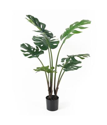 present time - Artificial Plant Monstera