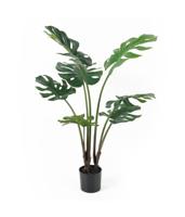 present time - Artificial Plant Monstera - thumbnail