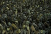 Brink en Campman - Rocks 70547 - 140x200 cm Vloerkleed - thumbnail