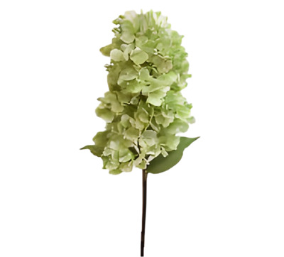 Kunst hortensia pluim lichtgroen 85 cm Buitengewoon de Boet - Buitengewoon de boet Kunst hortensia pluim lichtgroen 85 cm Buitengewoon de Boet - Buitengewoon de boet