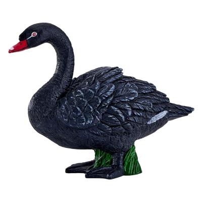 Mojo farmland zwarte zwaan - 381067