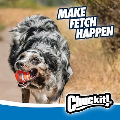 CHUCKIT SPORT BALL LAUNCHER WERPSTOK - thumbnail