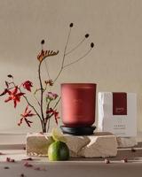 IPuro geurkaars jardin 270gr - thumbnail