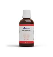 Berberis Sanoplex 50 Milliliter - thumbnail
